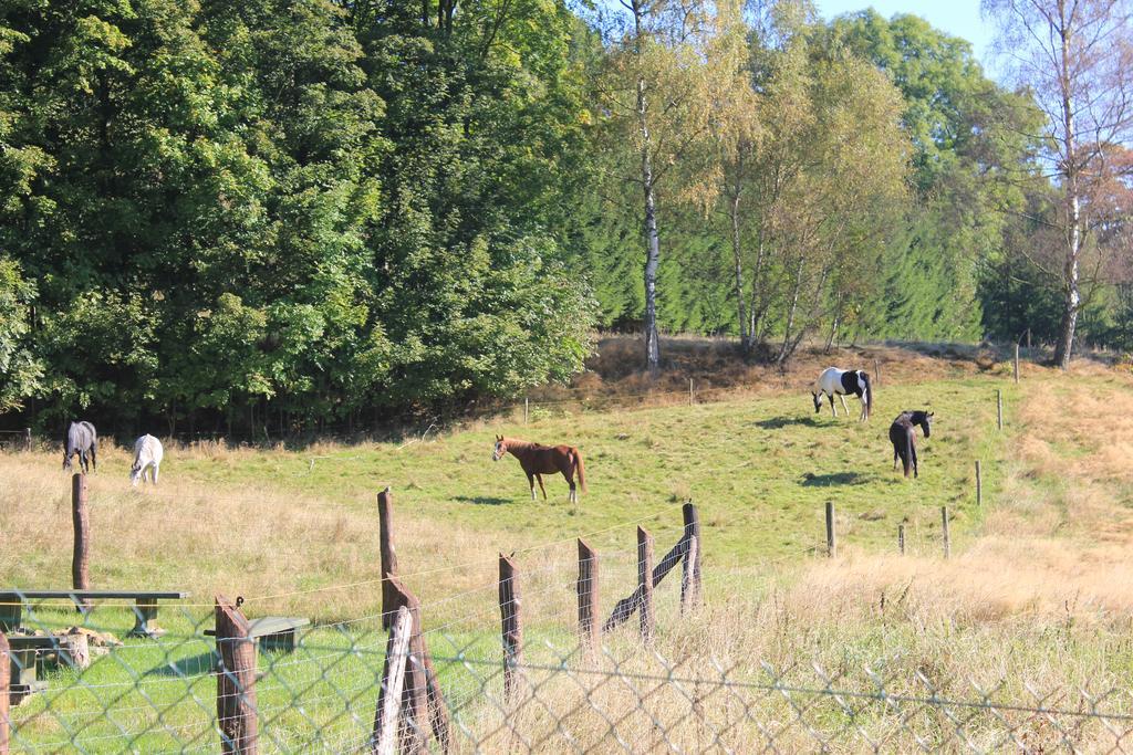 Sloneczna Zagroda - Sunny Ridge Farm Laczna  Bagian luar foto