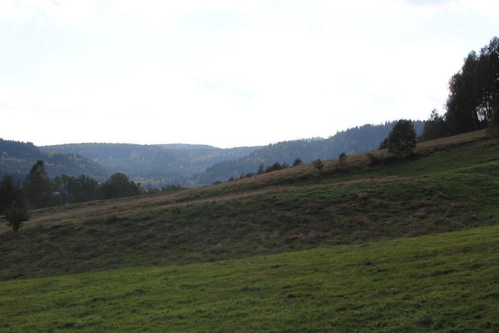 Sloneczna Zagroda - Sunny Ridge Farm Laczna  Bagian luar foto