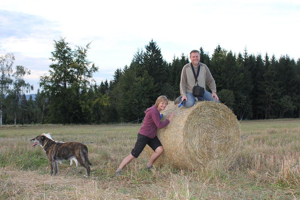 Sloneczna Zagroda - Sunny Ridge Farm Laczna  Bagian luar foto
